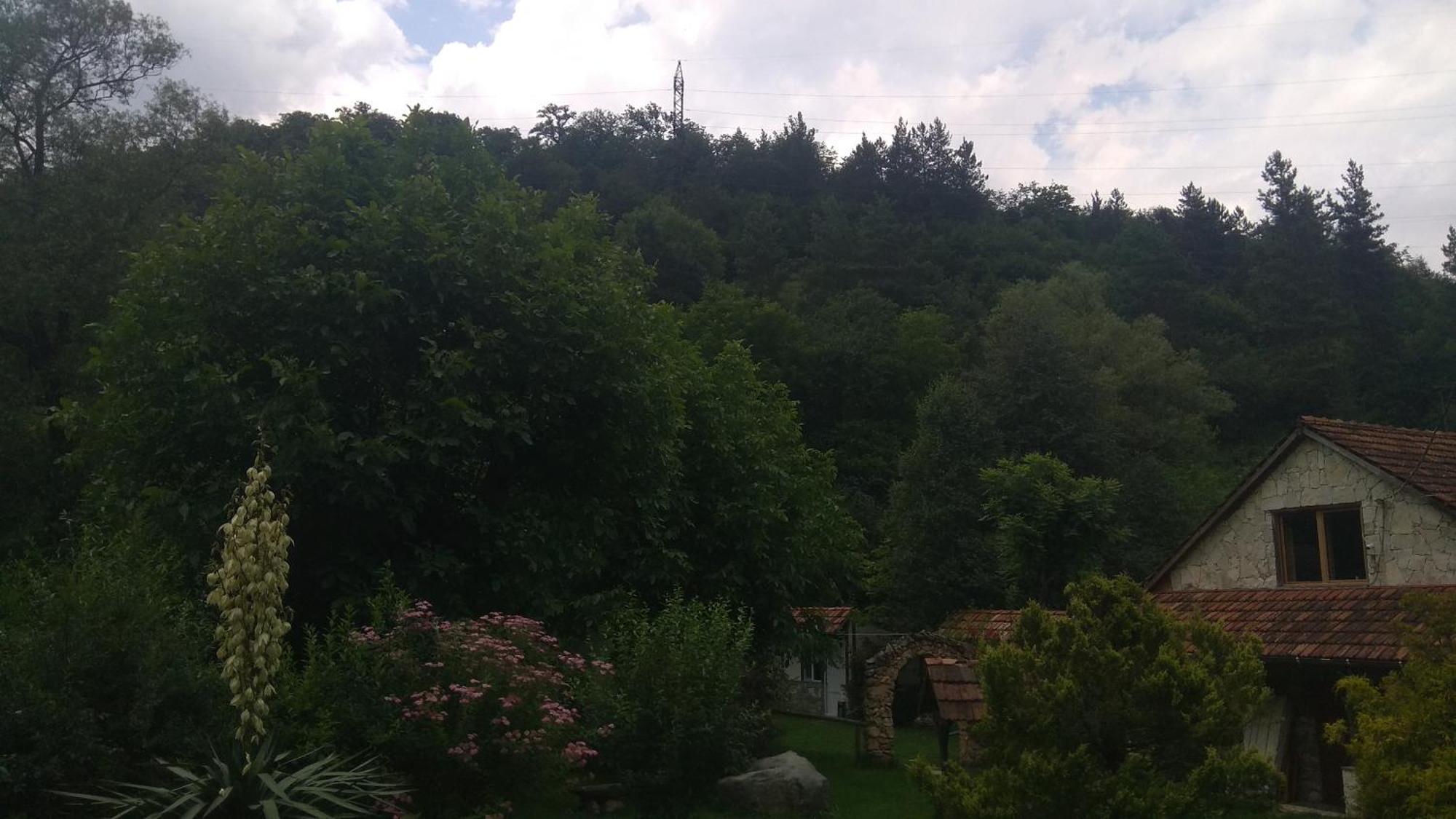 Eco Garden Dilijan Exterior foto