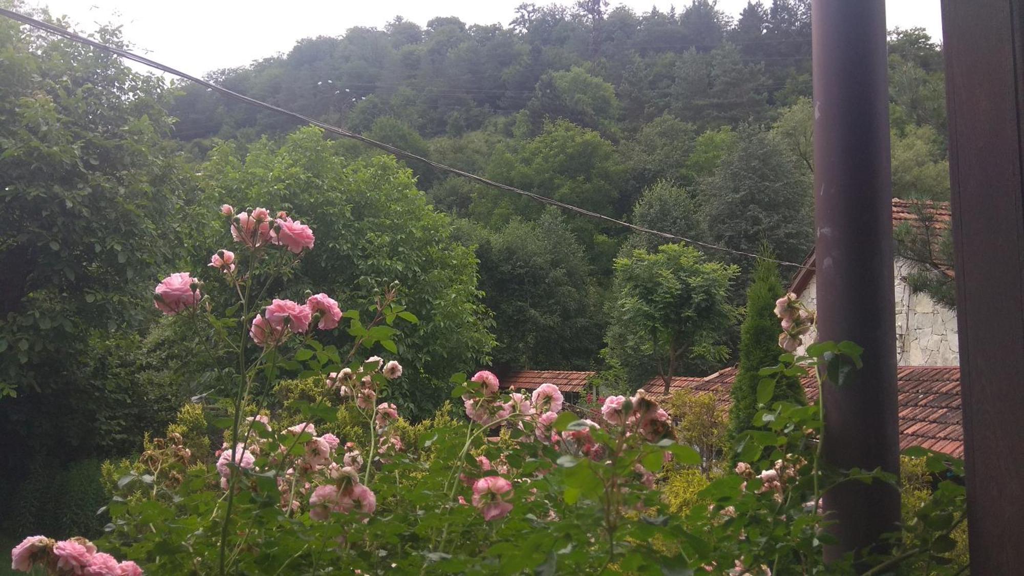 Eco Garden Dilijan Exterior foto