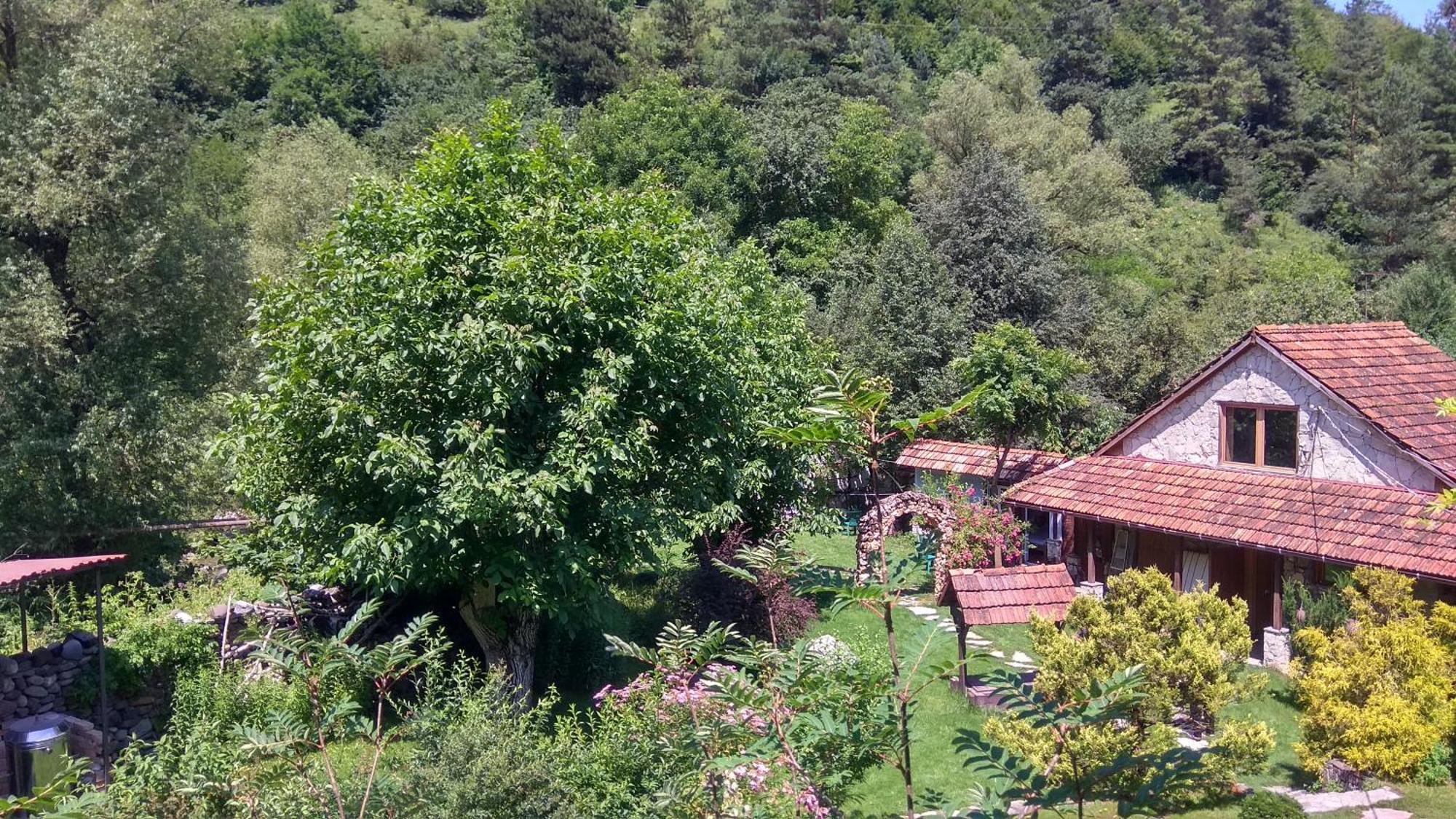 Eco Garden Dilijan Exterior foto